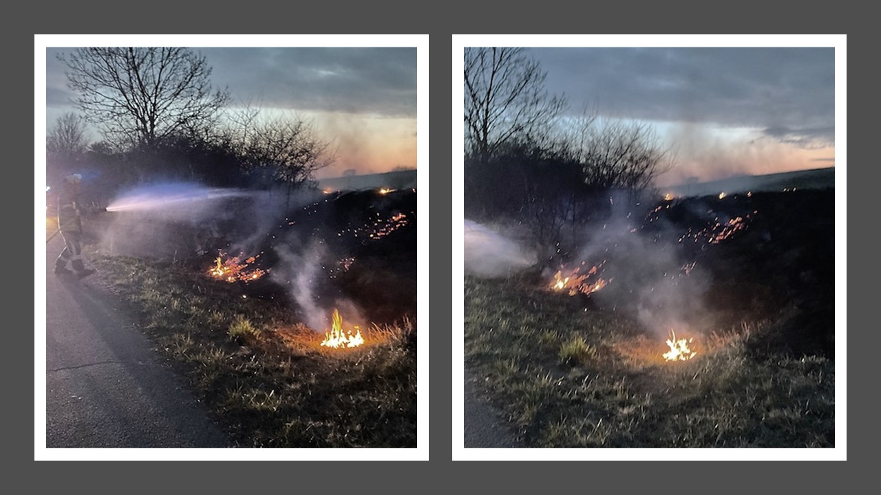 2025.03.22 Waldbrand Scharzfeld